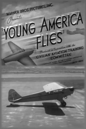 Young America Flies afişi