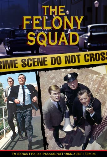 Felony Squad afişi