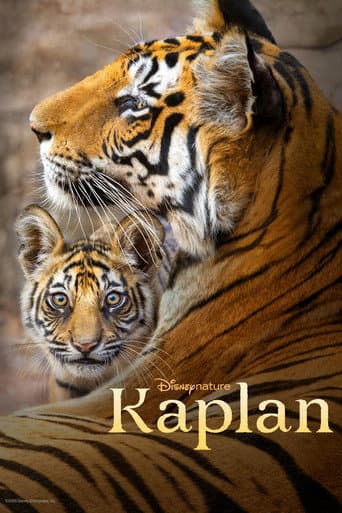 Kaplan afişi