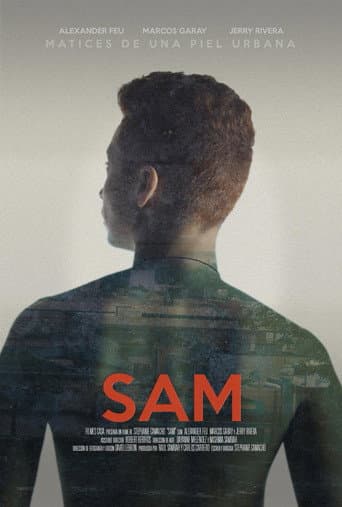 Sam afişi