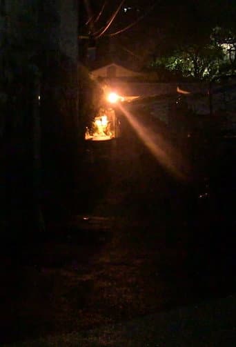 Haunt afişi