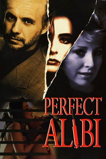Perfect Alibi afişi