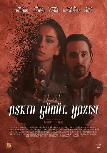 Aşkın Gönül Yazısı afişi