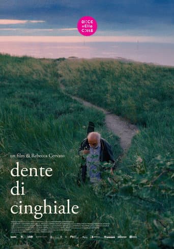 Dente di cinghiale afişi