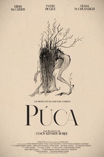 Púca afişi
