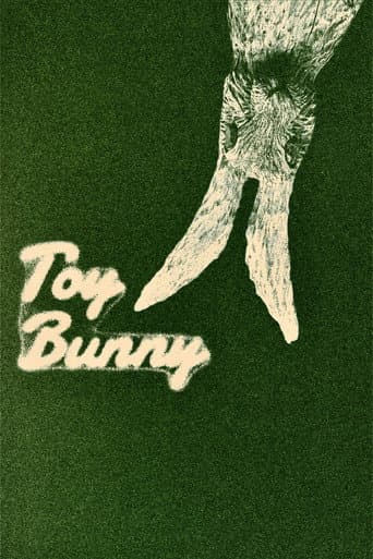 Toy Bunny afişi