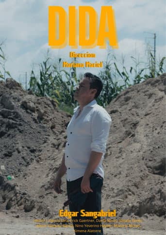 DIDA afişi
