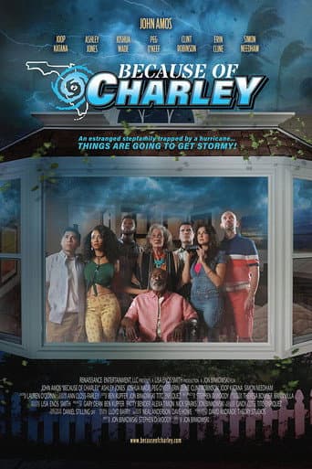 Because of Charley afişi