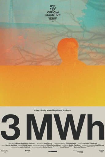 3 MWh afişi