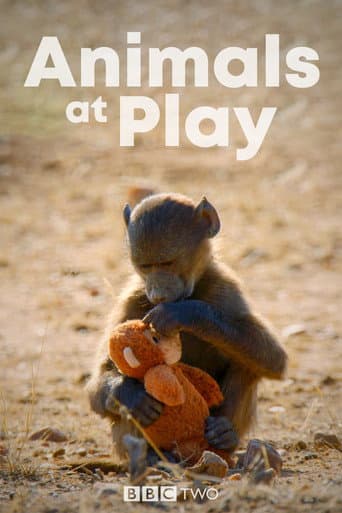 Animals at Play afişi