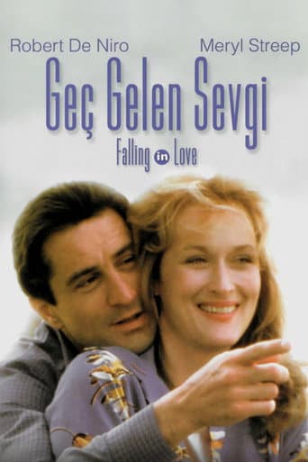 Geç Kalan Sevgi afişi