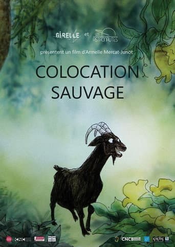 Colocation sauvage afişi