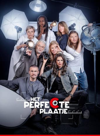 Het Perfecte Plaatje afişi
