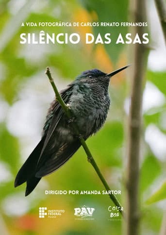 Silêncio das Asas afişi