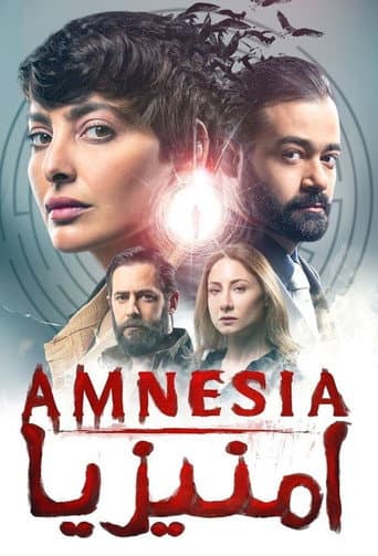 Amnesia afişi