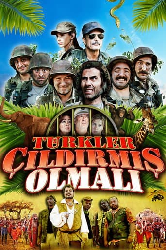 Türkler Çıldırmış Olmalı afişi