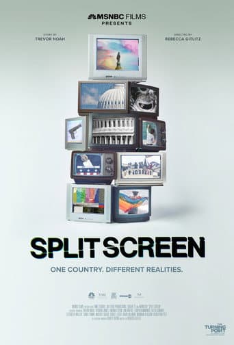 Split Screen afişi