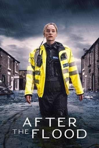 After the Flood afişi