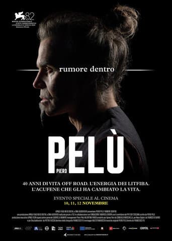 Piero Pelù - Rumore dentro afişi