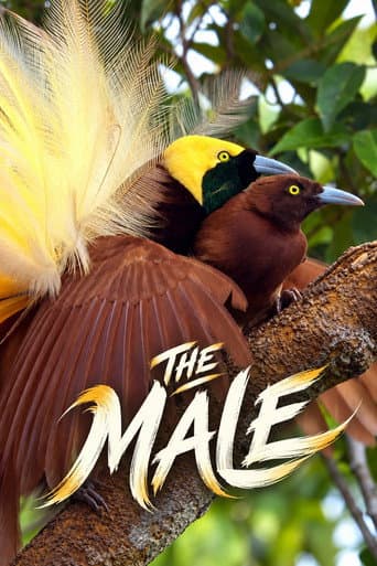 The Male afişi