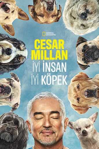 Cesar Millan: Better Human, Better Dog afişi