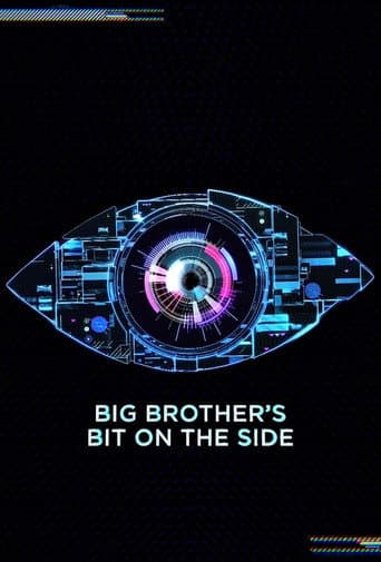 Big Brother's Bit on the Side afişi