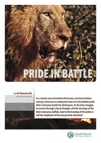 Pride in Battle afişi