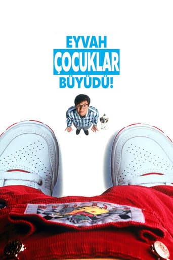 Eyvah Çocuklar Büyüdü! afişi