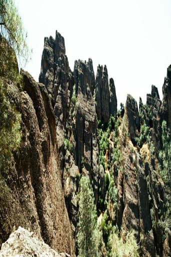 Pinnacles afişi