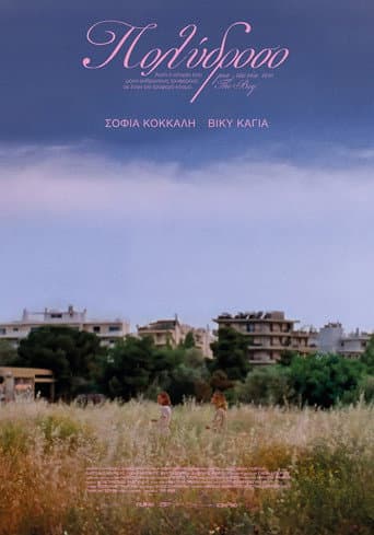 Polydroso afişi