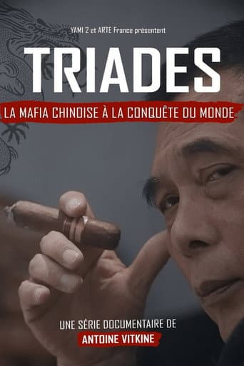 Triades : la Mafia chinoise à la conquête du monde afişi