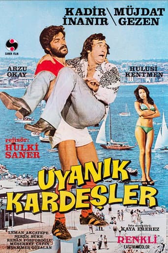 Uyanık Kardeşler afişi