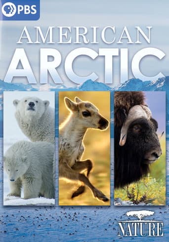 American Arctic afişi