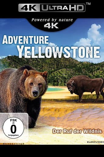Adventure Yellowstone - Der Ruf der Wildnis afişi
