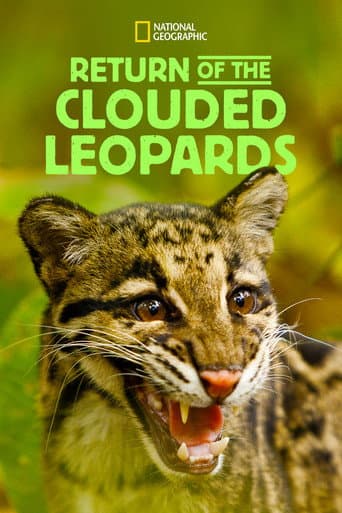 Return of the Clouded Leopards afişi