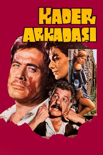 Kader Arkadaşı afişi