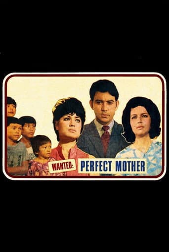 Wanted: Perfect Mother afişi