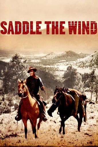Saddle the Wind afişi
