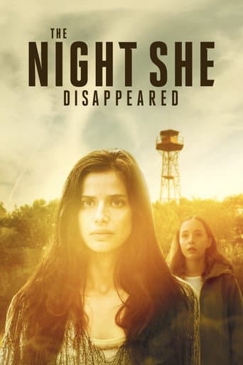 The Night She Disappeared afişi