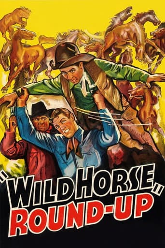 Wild Horse Round-Up afişi