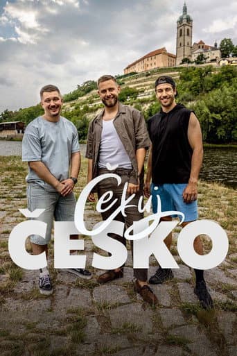 Čekuj Česko afişi