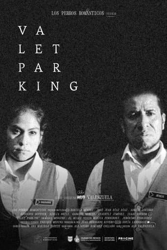 Valet parking afişi