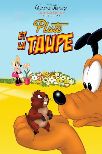 Pluto ve Sincap afişi