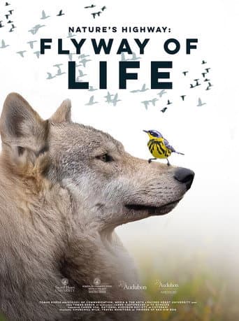 Flyway of Life afişi