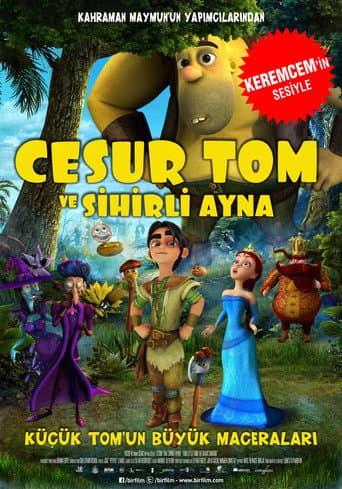 Cesur Tom ve Sihirli Ayna afişi