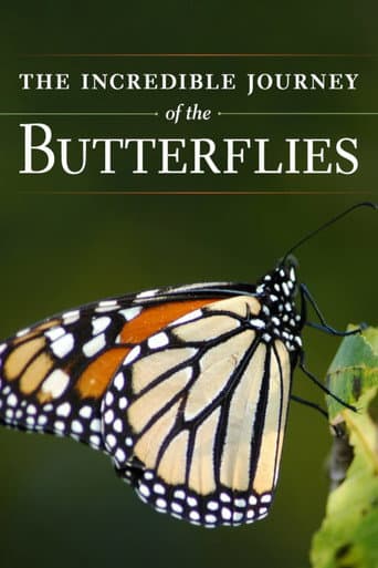 The Incredible Journey of the Butterflies afişi