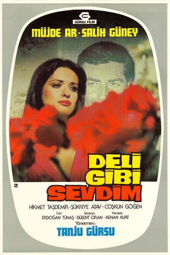 Deli Gibi Sevdim afişi