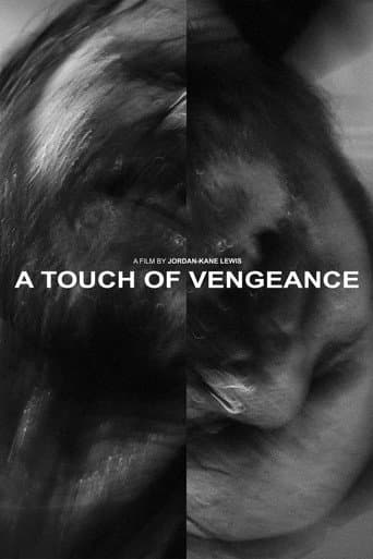 A Touch of Vengeance afişi