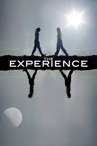 The Experience afişi