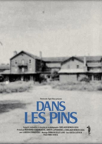Dans les pins afişi